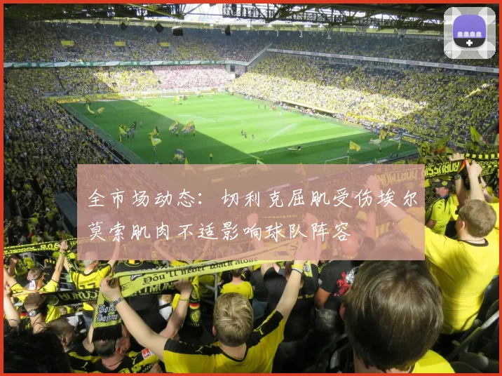 全市场动态：切利克屈肌受伤埃尔莫索肌肉不适影响球队阵容