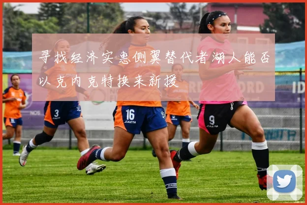 寻找经济实惠侧翼替代者湖人能否以克内克特换来新援