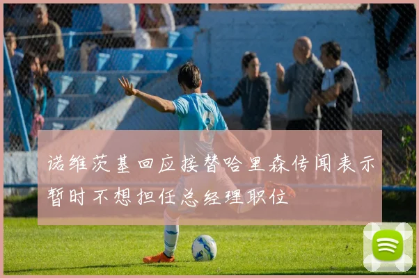 诺维茨基回应接替哈里森传闻表示暂时不想担任总经理职位