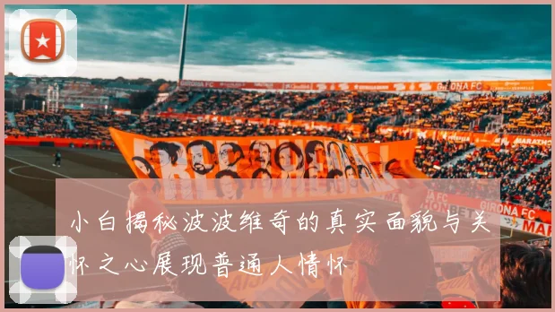 小白揭秘波波维奇的真实面貌与关怀之心展现普通人情怀