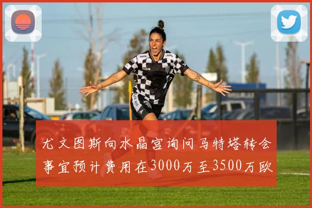 尤文图斯向水晶宫询问马特塔转会事宜预计费用在3000万至3500万欧元之间